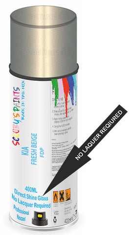 paint for Kia Rio5