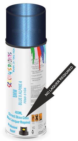 paint for BMW 
