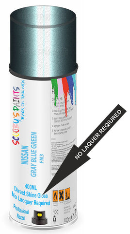 paint for Nissan Elgrand