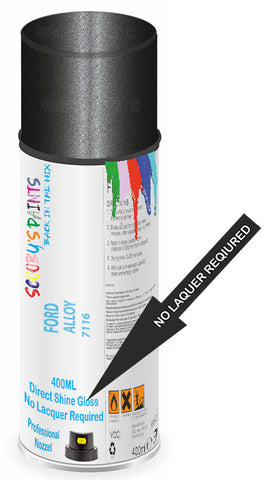 paint for FORD TRUCK