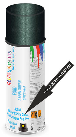 paint for Ford Crown Victoria