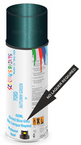 paint for Ford Escort Express