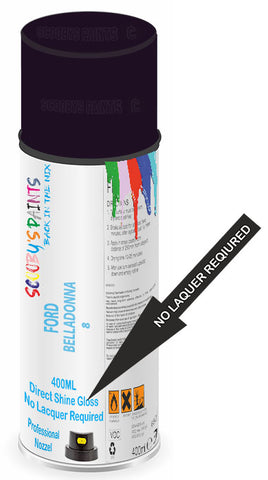 paint for Ford Orion