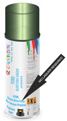 paint for FORD TOURNEO CONNECT