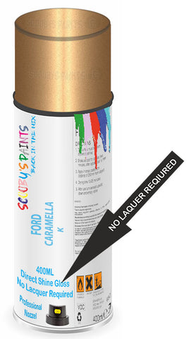 paint for Ford Transit