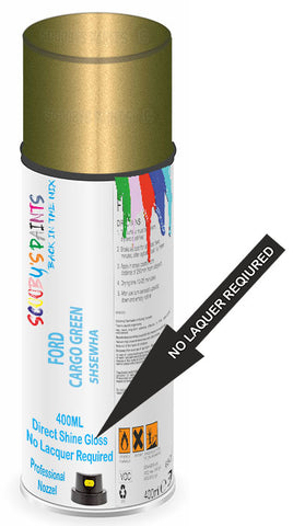 paint for Ford Transit Custom