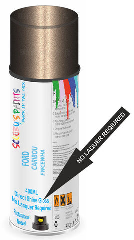 paint for Ford Focus Electric