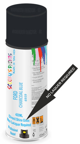 paint for FORD POLICE SPECIAL