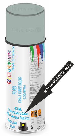 paint for FORD GALAXY