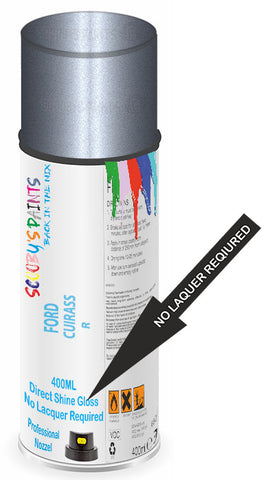 paint for Ford Scoop