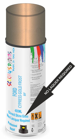 paint for Ford Windstar