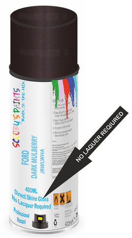 paint for Ford Focus