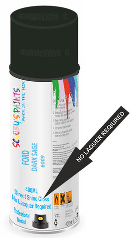 paint for Ford Thunderbird