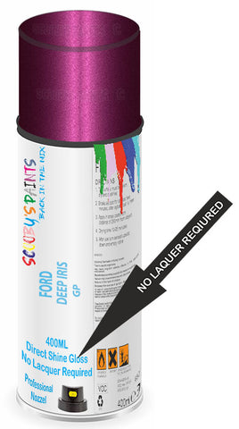 paint for FORD FIGO