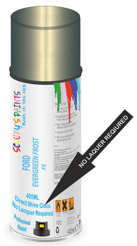paint for Ford Aerostar
