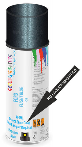 paint for FORD IKON