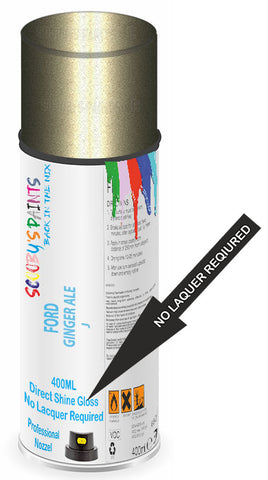 paint for Ford Focus C-Max