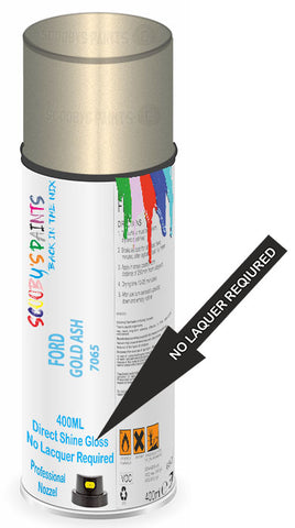 paint for Ford Freestar