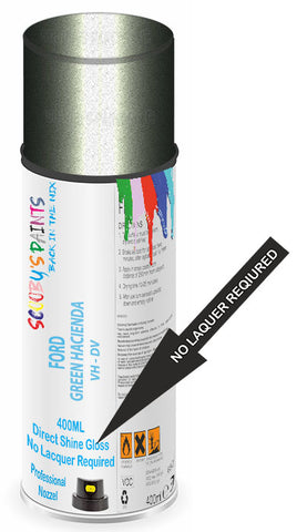 paint for FORD POLICE SPECIAL
