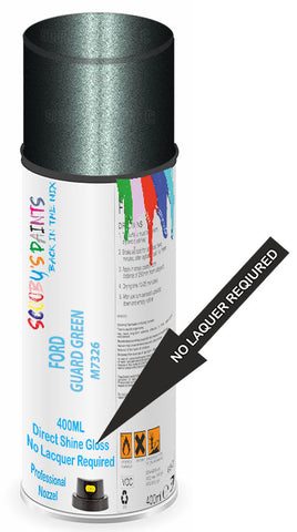 paint for FORD MUSTANG MACH-E