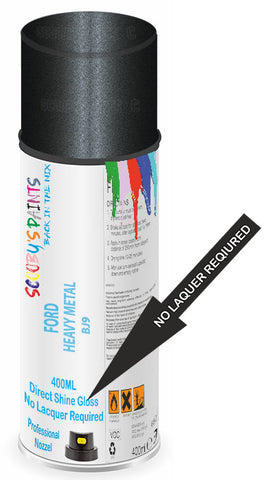 paint for FORD IKON