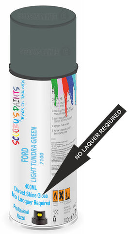 paint for FORD MONTERRY