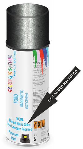 paint for Ford Fiesta St