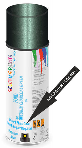 paint for Ford Escort Express