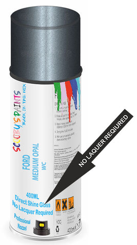 paint for FORD TOWN CAR