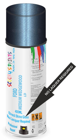 paint for FORD POLICE SPECIAL