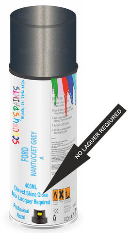 paint for Ford Orion