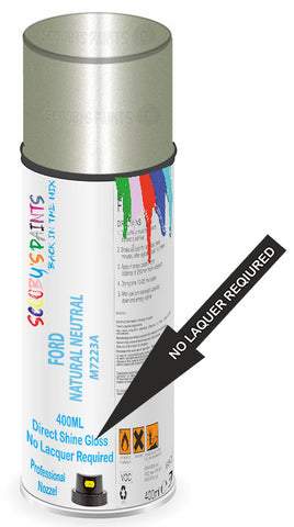 paint for Ford Focus