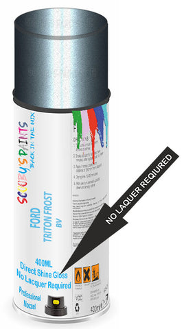 paint for FORD FORD GT