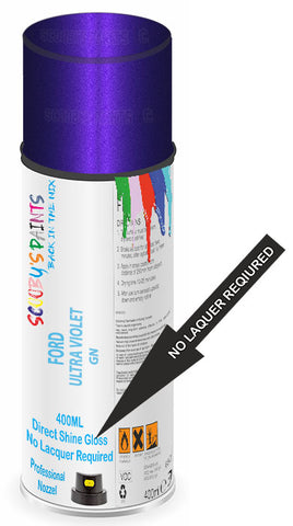 paint for FORD WINDSTAR