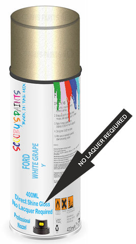 paint for Ford Galaxy