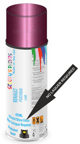 paint for Renault Twingo