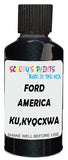 Detail brush applying Black Metallic to a small door scratch on an Ford F-150, clean OEM finish