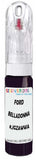 10ml–30ml touch-up kit for Ford Scoop chips and scratches, precise colour match to Belladonna 8,Jgzawwa