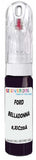 10ml–30ml touch-up kit for Ford Fiesta chips and scratches, precise colour match to Belladonna 8,Xsc213A