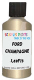 Detail brush applying Gold Metallic to a small door scratch on an Ford Trucks, clean OEM finish
