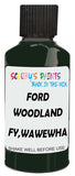 Detail brush applying Green Solid to a small door scratch on an Ford Ranger, clean OEM finish