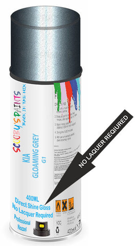 paint for Kia Pride