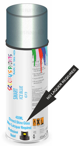 paint for SMART 