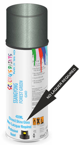 paint for SSANGYONG 