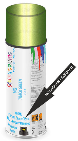 paint for MG 