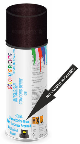 paint for Mitsubishi Expo
