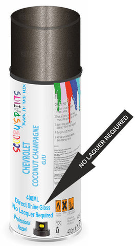 paint for CHEVROLET 