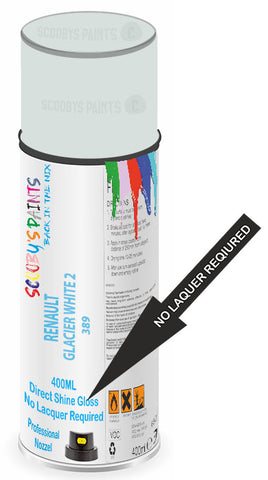 paint for RENAULT SCENIC