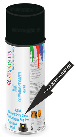 paint for MINI 