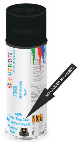 paint for ROVER Minor